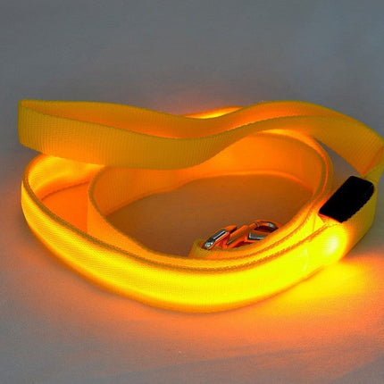 LED Luminous Dog Leash with Rechargeable Lights | Safe Night Walking for All Dog Breeds