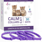 4packs of cats