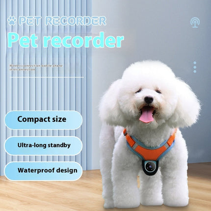 Pet Tracker Collar with 170° Ultra-Wide Camera | Real-Time GPS Monitoring for Dogs and Cats