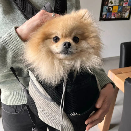 Adventure Pet Carrier | Mesh Backpack for Comfortable Hiking & Travel 2