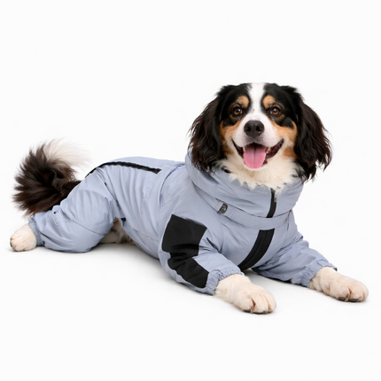 Adventure Ready | Waterproof Dog Rain Coat with Reflective Shell | Lightweight and Breathable Protection for All Weather 6