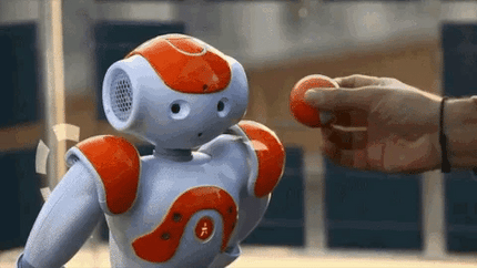 Aiden | Smart Home Robot with Multi-Language Support | AI Companion for Effortless Interaction 3