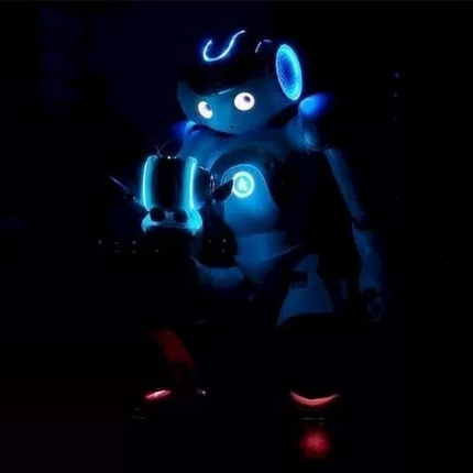 Aiden | Smart Home Robot with Multi-Language Support | AI Companion for Effortless Interaction 5