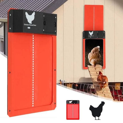 AutoCoop | Automatic Chicken Coop Door with Light Sensor & Weatherproof Design | Effortless Poultry Management 2