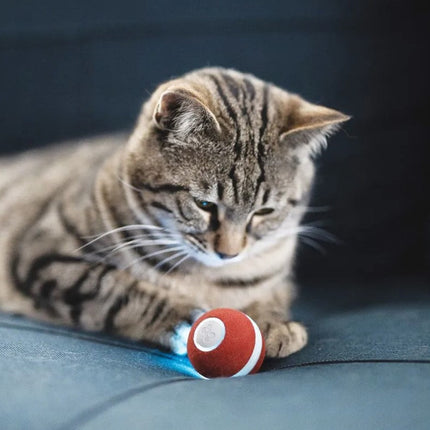 Automatic Rolling Smart Cat Toy with USB Rechargeable Design | Engaging Playtime for Cats of All Ages