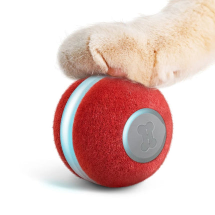 Automatic Rolling Smart Cat Toy with USB Rechargeable Design | Engaging Playtime for Cats of All Ages