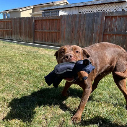 BearTough | Indestructible Dog Toy for Aggressive Chewers with Triple-Layered Strength | Eco-Friendly Design for Healthy Play 4