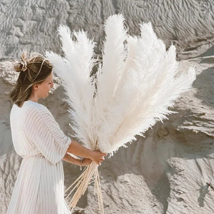 Blissful Pampas Grass | Natural Dried Decor 0