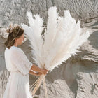 Blissful Pampas Grass | Natural Dried Decor 0
