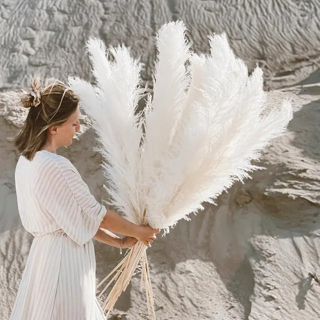 Blissful Pampas Grass | Natural Dried Decor 0