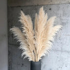beige / 5