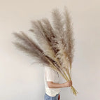 natural / 5