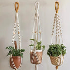 Pack of 3