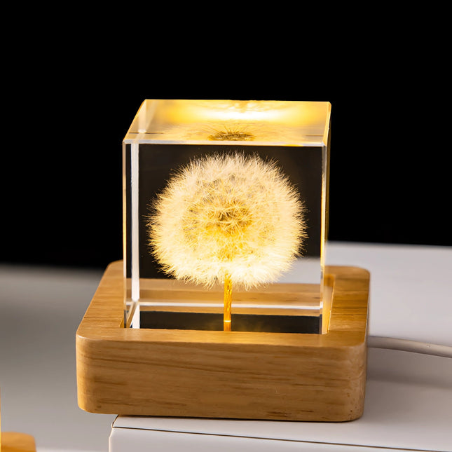 Botanical Night Light | LED Table Lamp with Unique Dandelion Design | Enchanting Illumination for Bedrooms and Living Rooms 0