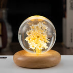 Yellow Daisy Round B