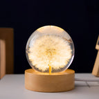 Dandelion Round A