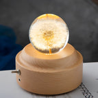 Dandelion Round B