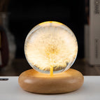 Dandelion Round C