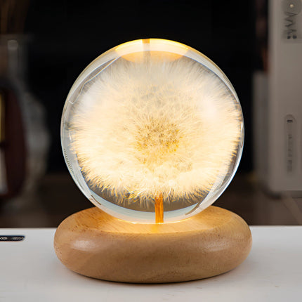 Botanical Night Light | LED Table Lamp with Unique Dandelion Design | Enchanting Illumination for Bedrooms and Living Rooms 6