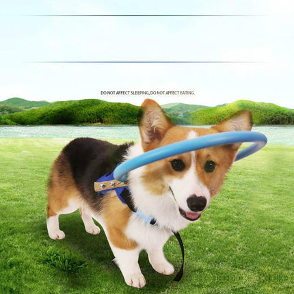 BrightGuide | Bumper Collar Harness for Blind Dogs with Lightweight Design | Safe Mobility for Daily Walks 2