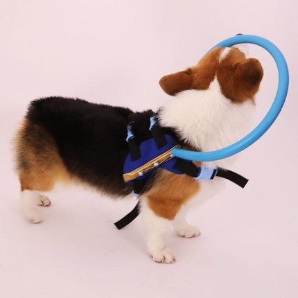 BrightGuide | Bumper Collar Harness for Blind Dogs with Lightweight Design | Safe Mobility for Daily Walks 3