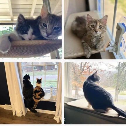 Foldable Window Cat Hammock with Strong Suction Cups | Space-Saving Perch for Indoor Relaxation and Viewing