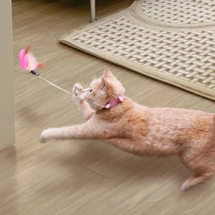 Silicone Cat Teaser Wand with Bell for Fun Playtime | Durable Interactive Toy for Cats 17-27cm Neck Size