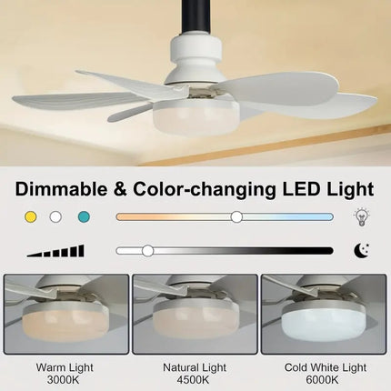 Ceiling Fans with Lights | Portable Fan & Light Combo with Remote Control | Easy Installation for Instant Comfort 4