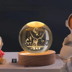 Reindeer