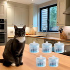 Pack of 5 filters