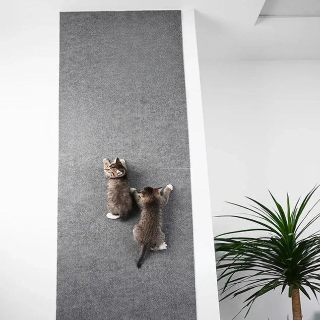 Cat Scratcher, Self Adhesive Cat Scratching Carpet, Couch Protector for Cats, Cat Furniture Protector for Sofa and Chair_00