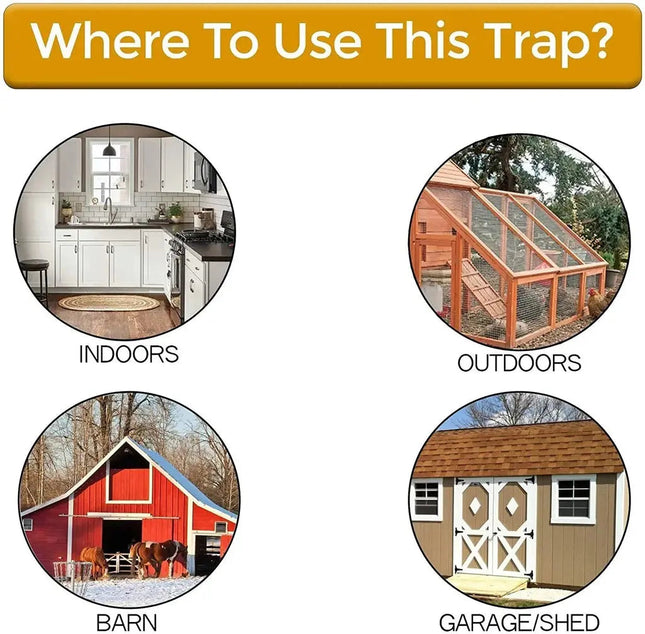 CleanCatch | Humane Mouse Trap with Non-Toxic Design | Safe Rodent Control for Home 1