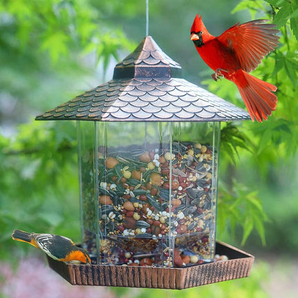 Hanging Bird Feeder for Outside, Finch Feeder with Copper Effect Roof – image 4