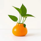 Small Ceramic Planter, Cute Plant Pot with Orange Peel Texture, Glossy Flower Pot for Small Plants