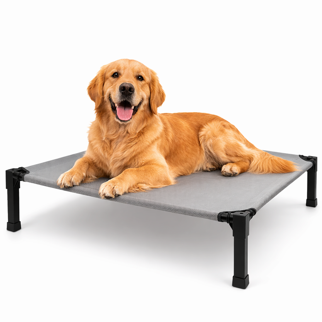 Comfort Haven | Elevated Dog Bed with Chew-Proof Design | Portable Cot for Year-Round Comfort 1
