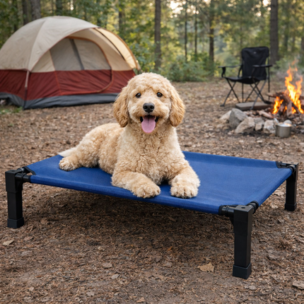 Comfort Haven | Elevated Dog Bed with Chew-Proof Design | Portable Cot for Year-Round Comfort 2