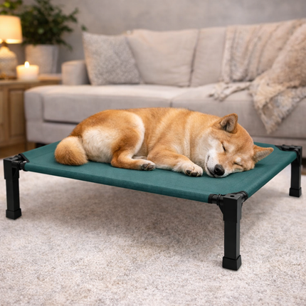 Comfort Haven | Elevated Dog Bed with Chew-Proof Design | Portable Cot for Year-Round Comfort 3