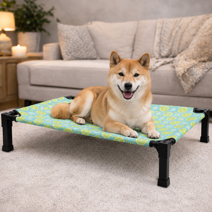 Comfort Haven | Elevated Dog Bed with Chew-Proof Design | Portable Cot for Year-Round Comfort 9