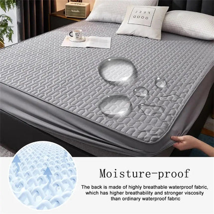 Comfort Haven | Waterproof Mattress Pad Cover with Latex Layer | Soft Cotton for Ultimate Protection 3