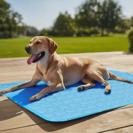 Comfort Pet | Self-Cooling Mat for Dogs with No Electricity Needed | Ideal for Hot Weather Relief 2
