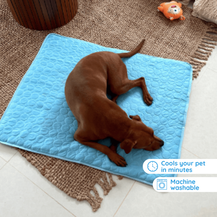 Comfort Pet | Self-Cooling Mat for Dogs with No Electricity Needed | Ideal for Hot Weather Relief 3