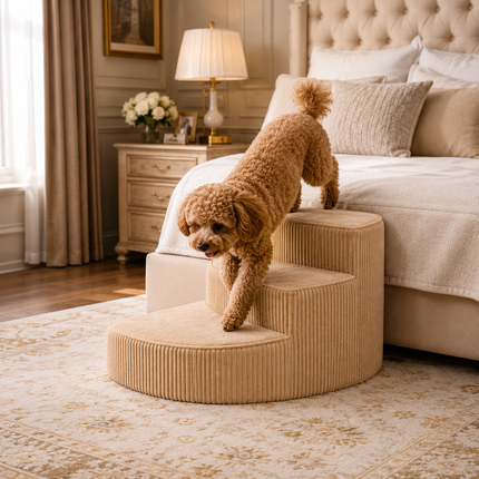 Comfort Steps | Orthopedic Dog Stairs for Bed with Non-Slip Foam Design | Space-Saving Solution for Pet Mobility 3