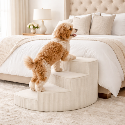 Comfort Steps | Orthopedic Dog Stairs for Bed with Non-Slip Foam Design | Space-Saving Solution for Pet Mobility 4