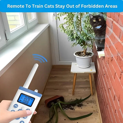 Comfortable Cat Training Collar with Sound & Vibration Alerts for Calm Behavior 2