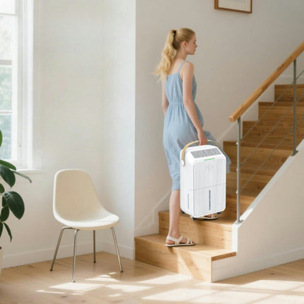 Compact Dehumidifier for Basement | 34 Pint Moisture Control for Fresh Air 5