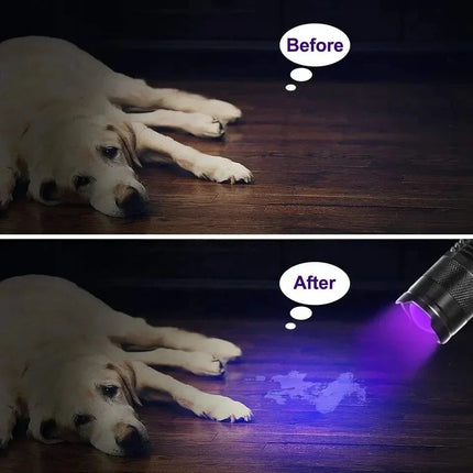 Compact UV Flashlight | LED Inspection Lamp for Stain Detection | Portable Tool for Home Cleaning 4