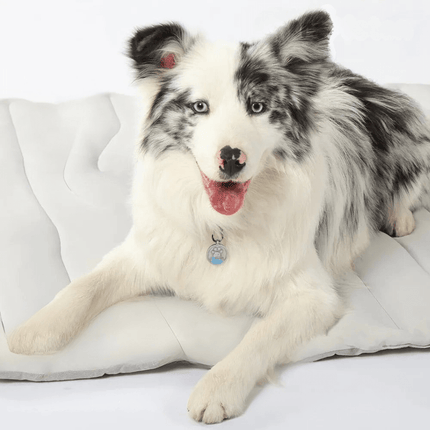 CoolPaws | Dog Cooling Mat with Self-Activating Gel for Instant Relief 1