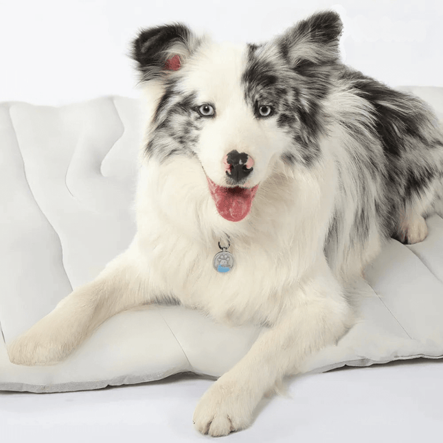 CoolPaws | Dog Cooling Mat with Self-Activating Gel for Instant Relief 1