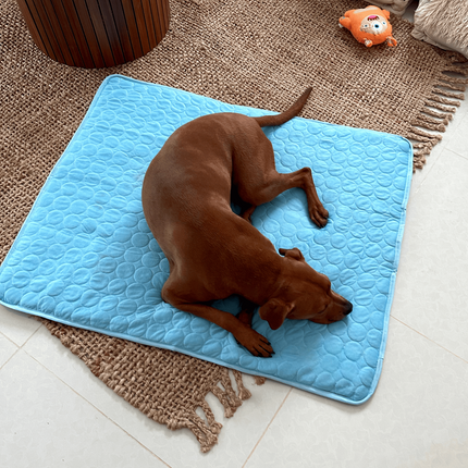 Cooling Dog Mat | 4X Cooling Power with Durable Design | Comfortable Relief for Hot Weather 0