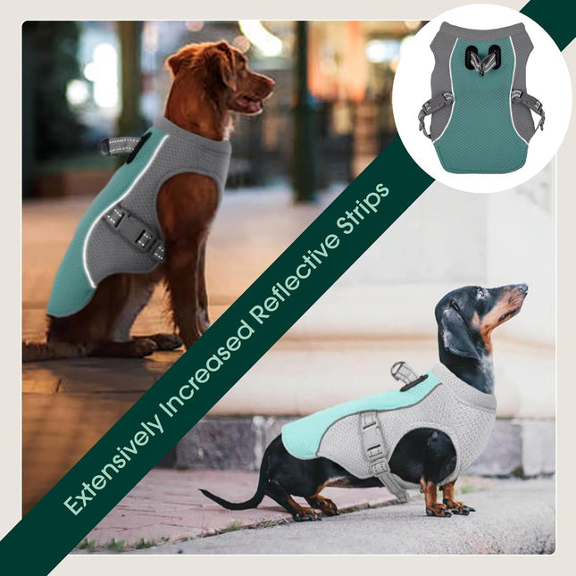 Cooling Dog Vest | Reflective Summer Harness with Quick-Release Buckles | Adjustable Fit for Comfort 1